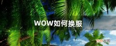 WOW如何换服（wow转服换种族)