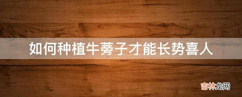 如何种植牛蒡子才能长势喜人?