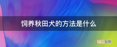 饲养秋田犬的方法是什么?