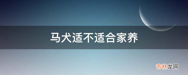 马犬适不适合家养?