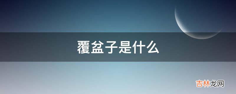 覆盆子是什么?