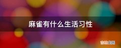 麻雀有什么生活习性?