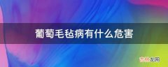 葡萄毛毡病有什么危害?