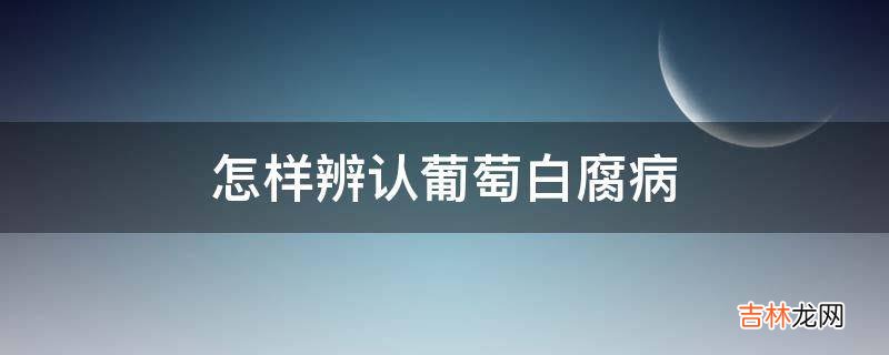 怎样辨认葡萄白腐病?