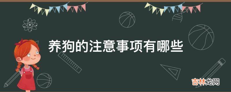 养狗的注意事项有哪些?