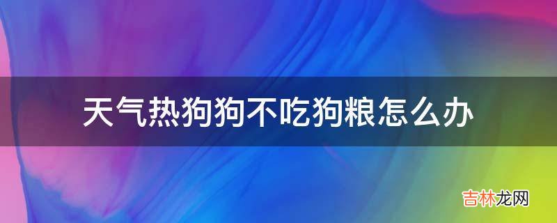 天气热狗狗不吃狗粮怎么办?