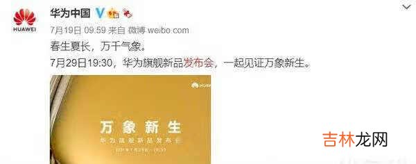 华为P50发布时间确定_华为P50什么时候上市