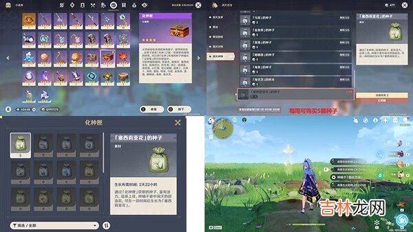 原神塞西莉亚花在哪采集