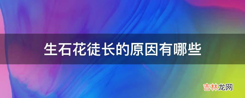 生石花徒长的原因有哪些?