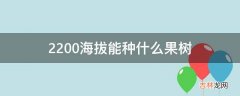 2200海拔能种什么果树?