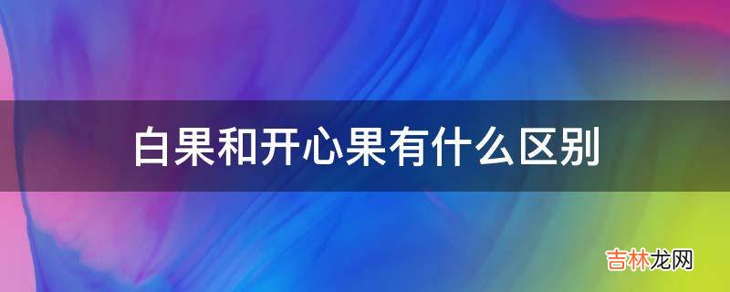 白果和开心果有什么区别?
