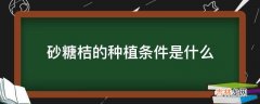 砂糖桔的种植条件是什么?