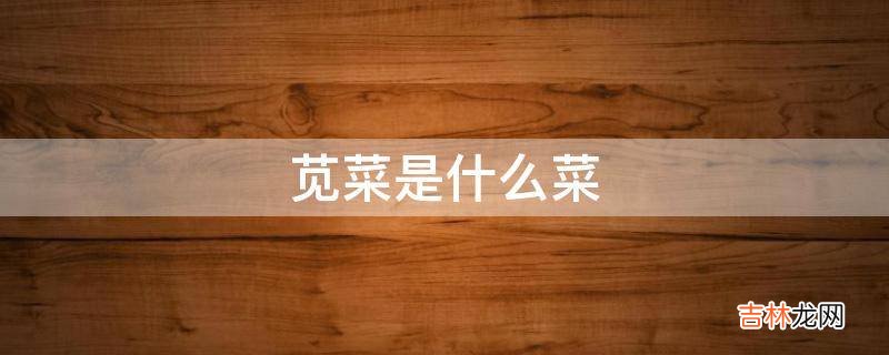 苋菜是什么菜?