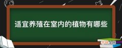 适宜养殖在室内的植物有哪些?