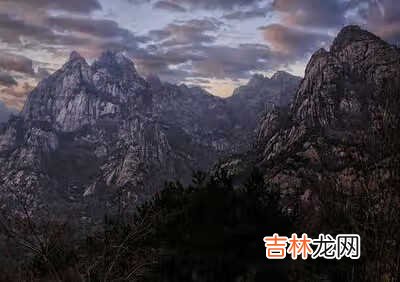 新东方唐宁简介 新东方唐宁年龄