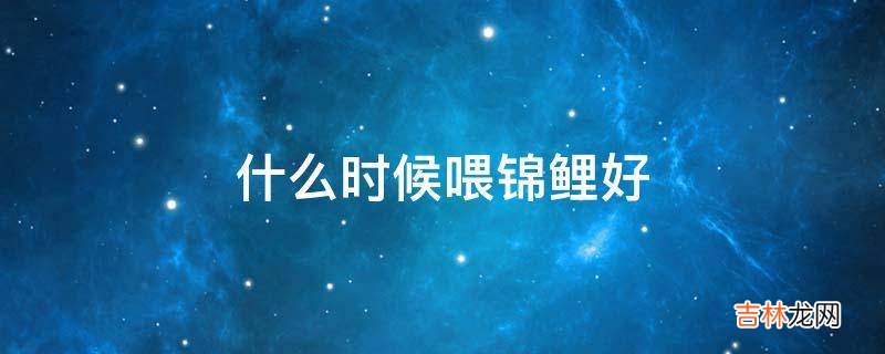 什麽時候喂錦鯉好?