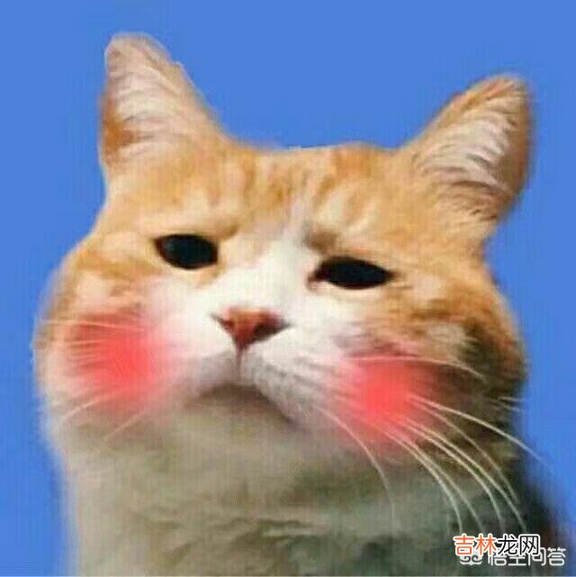 DNF的红玉髓除了做圣物还有其他妙用吗（dnf100版本红玉髓有什么用)