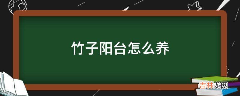 竹子阳台怎么养?