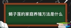 蝎子莲的家庭养殖方法是什么?