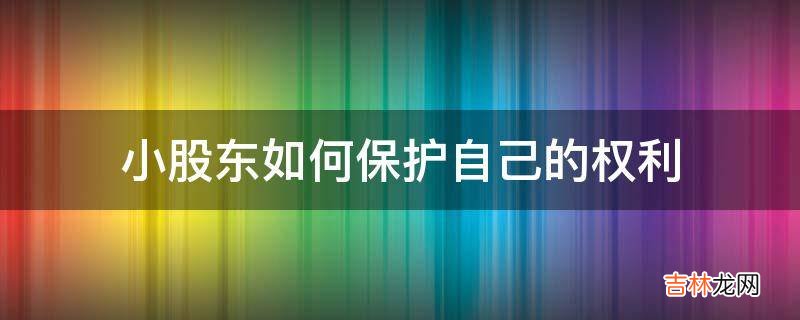 小股东如何保护自己的权利?