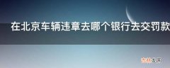 在北京车辆违章去哪个银行去交罚款?