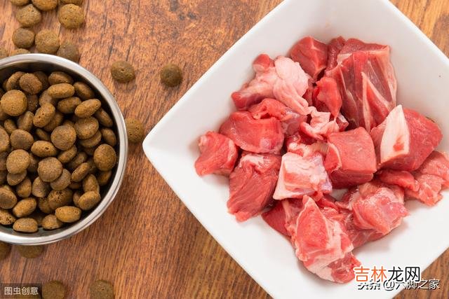 如何挑选优质狗粮（挑选优质狗粮的小技巧)
