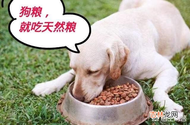 如何挑选优质狗粮（挑选优质狗粮的小技巧)