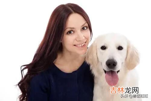 狗粮有哪些分类怎么选(口碑最好的狗粮)