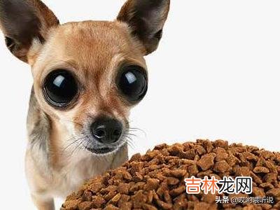 如何选择一款适合狗狗的好狗粮（10年多了的狗狗适合吃哪个狗粮)