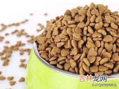 如何选择一款适合狗狗的好狗粮（10年多了的狗狗适合吃哪个狗粮)