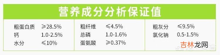 狗粮的选择（国产十大放心狗粮)