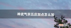 神武气宗五庄加点怎么加（神武3气宗五庄全面攻略)