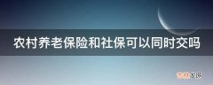 农村养老保险和社保可以同时交吗?