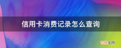 信用卡消费记录怎么查询?