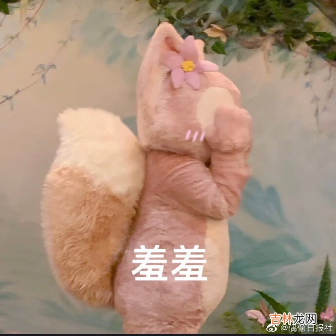 川沙妲己是什么意思