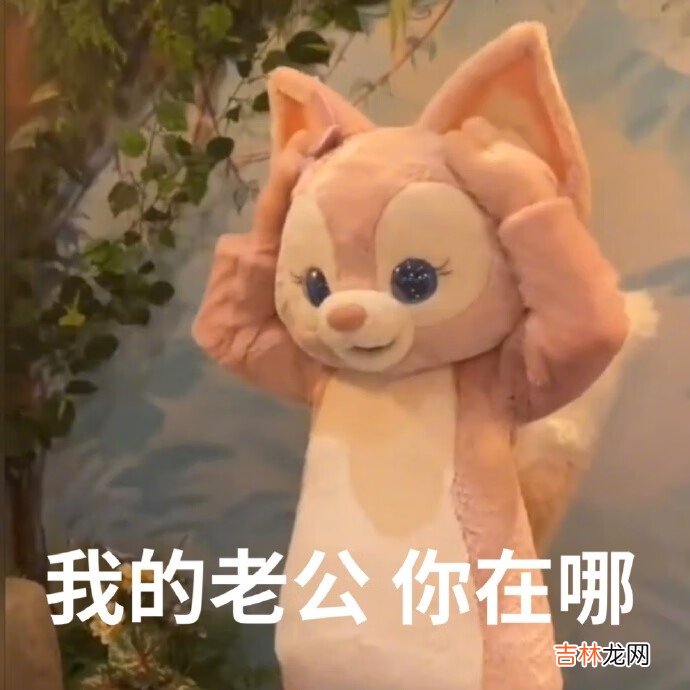 川沙妲己是什么意思