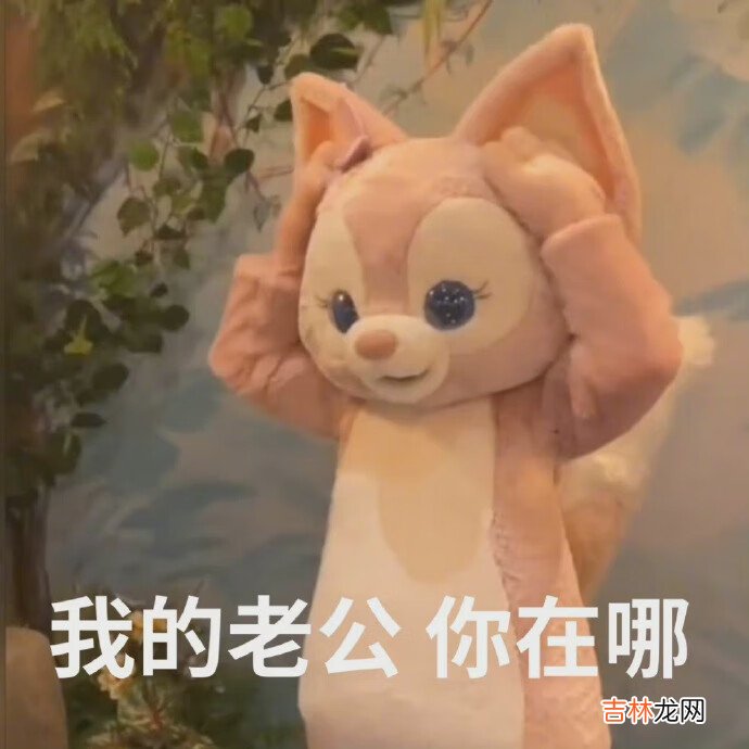 川沙妲己是什么意思