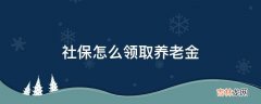 社保怎么领取养老金?