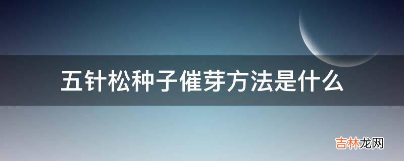 五针松种子催芽方法是什么?