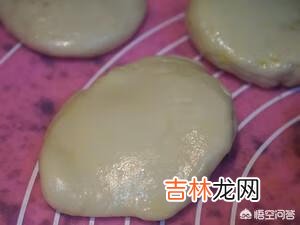 鸡肉卷怎么做(华莱士鸡肉卷教程)