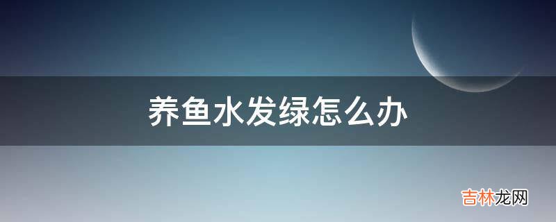 养鱼水发绿怎么办?