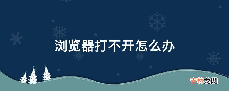 浏览器打不开怎么办?