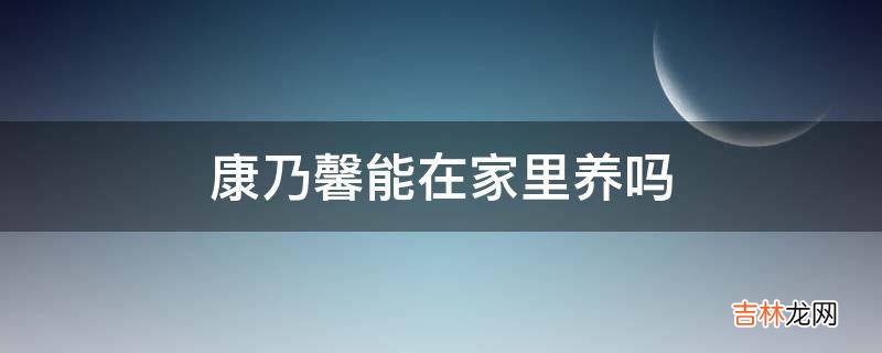 康乃馨能在家里养吗?