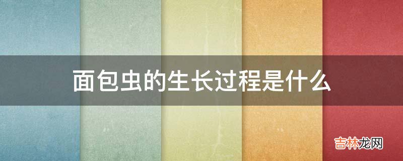面包虫的生长过程是什么?
