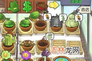 植物大战僵尸如何快速赚钱（植物大战僵尸2怎么刷钱最快)