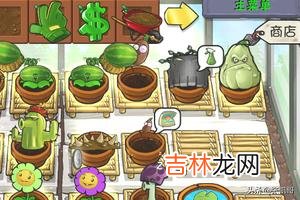 植物大战僵尸如何快速赚钱（植物大战僵尸2怎么刷钱最快)