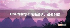 DNF宠物怎么练级最快，最省时间（dnf练级最快方法)