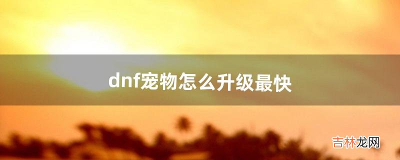 dnf宠物怎么升级最快（dnf宠物怎么升级成最新的)