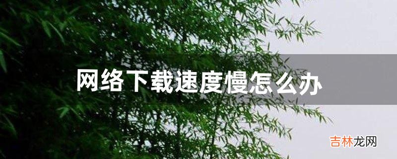 网络下载速度慢怎么办(一招让旧电脑变流畅)