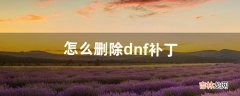 怎么删除dnf补丁（删除dnf补丁方法)